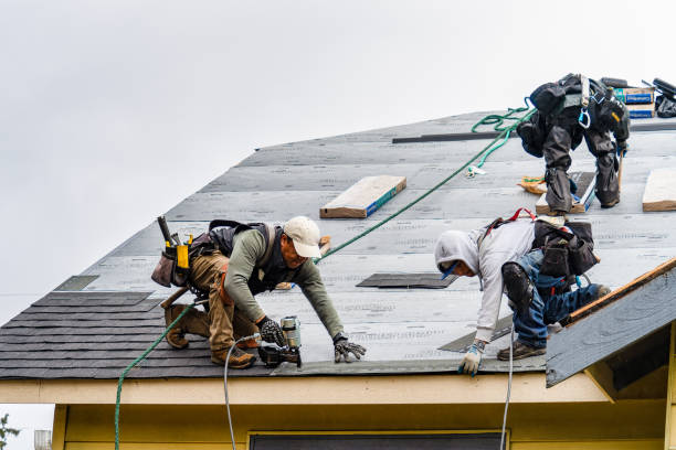 Professional Storm Damage Roof Repair technician working in Rainier, OR